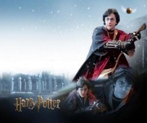 пазл Гарри Поттер квиддич играют со своей волшебной метлой как охотник ловит мяч